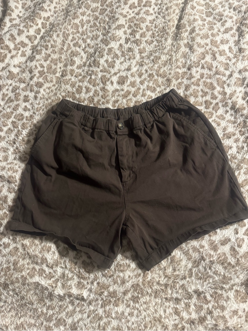 Men’s Cove Chino shorts